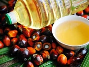 palm-oil