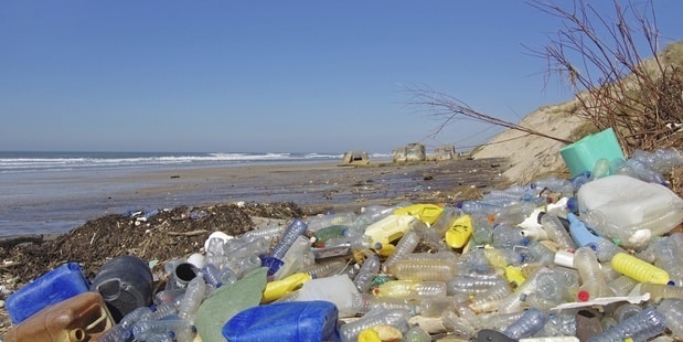 Plastic on Beaches